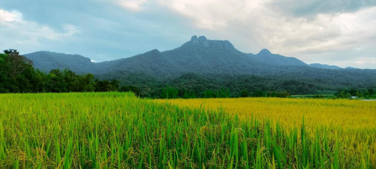 Pimpisa Garden พิมพิศา การ์เด้นท์ Vila Khuang Kom Exterior foto